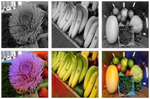 Colorful Image Colorization in PyTorch