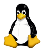 Linux API Programs